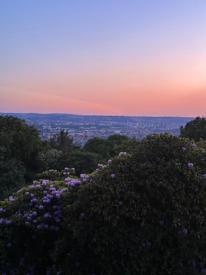 Oasis Appart - Wohnen Im Koenigspark - Elbhang Dresden - Grosse Terrasse - Netflix - Tg Buitenkant foto