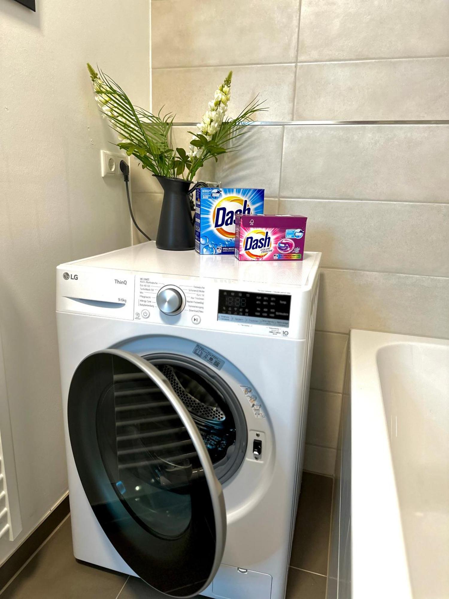 Oasis Appart - Wohnen Im Koenigspark - Elbhang Dresden - Grosse Terrasse - Netflix - Tg Buitenkant foto