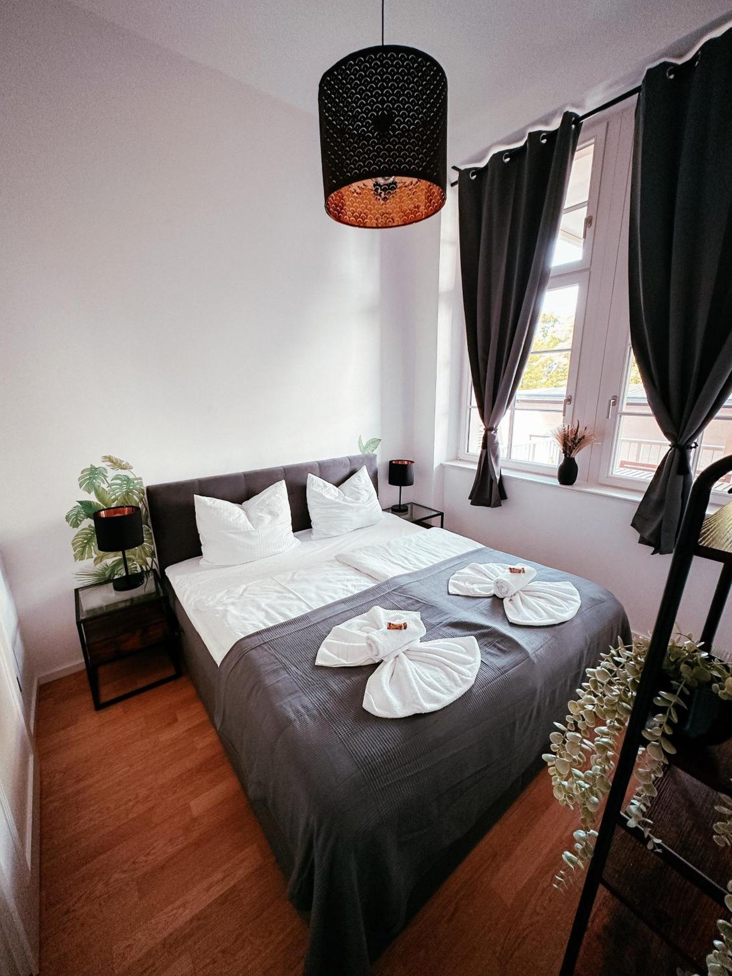 Oasis Appart - Wohnen Im Koenigspark - Elbhang Dresden - Grosse Terrasse - Netflix - Tg Buitenkant foto