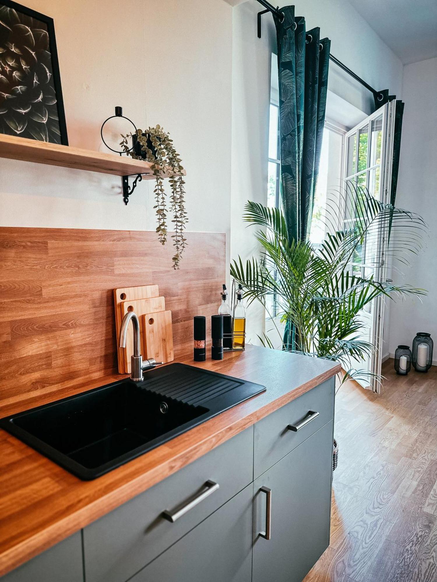 Oasis Appart - Wohnen Im Koenigspark - Elbhang Dresden - Grosse Terrasse - Netflix - Tg Buitenkant foto